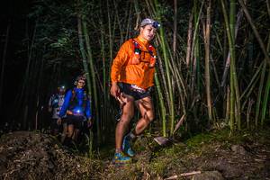 BIB: 
                            <button type="button" onclick="openModal(6945686)" class="btn btn-primary btn-sm float-right btn-popup" data-toggle="modal" data-target=".modal-high-quality">
                        <i class="fas fa-shopping-cart"></i> Add to Cart
                    </button>
                                            <button type="button" onclick="isThisMe(6945686, true)" class="btn btn-success btn-sm float-right btn-popup btn-isme hidden" data-toggle="tooltip" data-placement="bottom" title="นี่คือรูปของคุณใช่ไหม คลิกที่นี่เพื่อเอาเข้าอัลบั้ม">
                        <i class="fas fa-plus"></i> Add to album
                    </button>
                    <button type="button" onclick="isThisMe(6945686, false)" class="btn btn-warning btn-sm float-right btn-popup btn-isnotme hidden">
                        <i class="fas fa-ban"></i> Remove from album
                    </button>